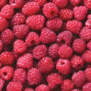 as raspberry canby 1