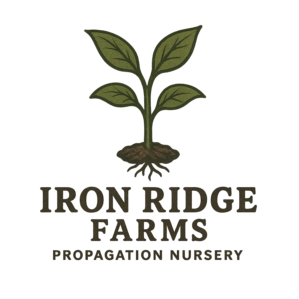 Iron Ridge Farms