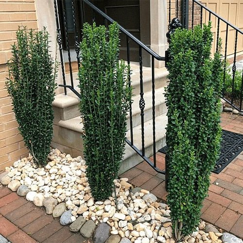 sky pencil landscape 500