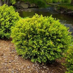 s625871382794834244 p2165 i2 w600copy